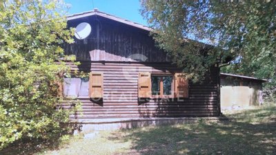 Photo_13