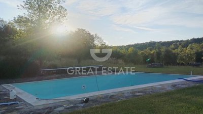 Photo_4