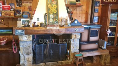 Photo_5