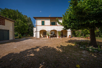 Photo_1