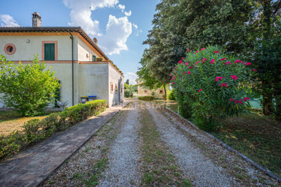 Photo_15