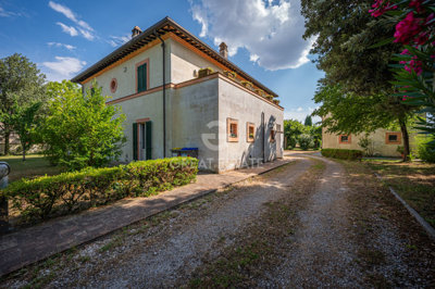 Photo_4