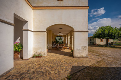 Photo_7