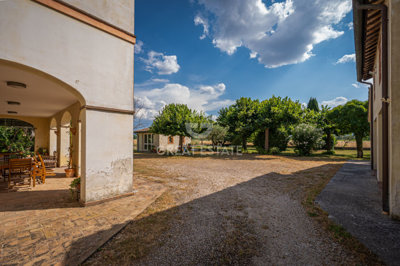 Photo_8