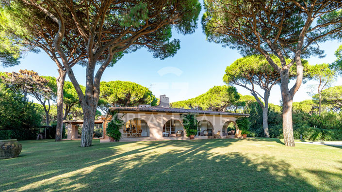 Image No.3-Maison de campagne de 6 chambres à vendre à Castiglione della Pescaia