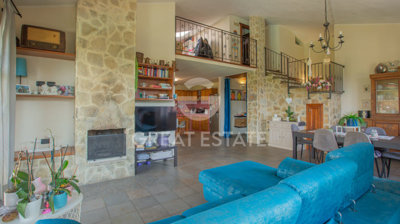 Photo_5