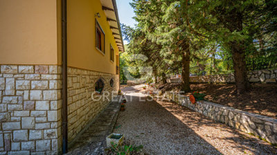 Photo_12