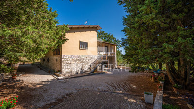Photo_4