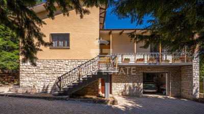 Photo_7