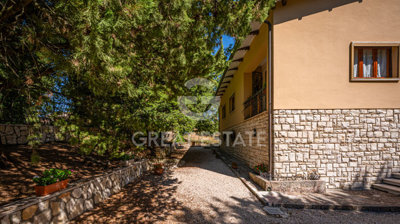 Photo_9
