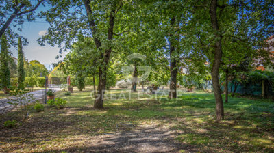 Photo_12