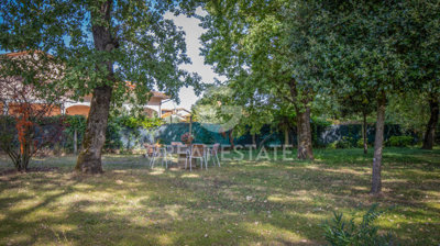 Photo_13