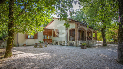 Photo_3