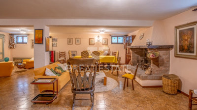 Photo_6