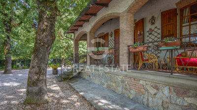 Photo_7
