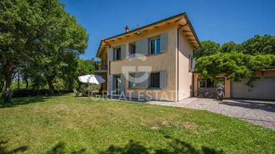 Photo_3