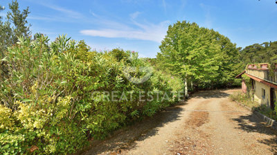 Photo_12