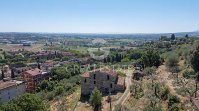 Photo_10