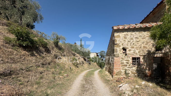 Image No.22-3 Bed Country House for sale