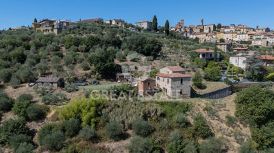 Photo_3