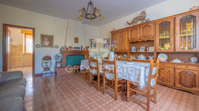 Photo_2