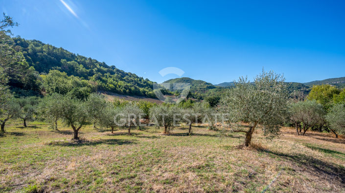 Image No.27-3 Bed Country House for sale