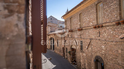 Photo_7
