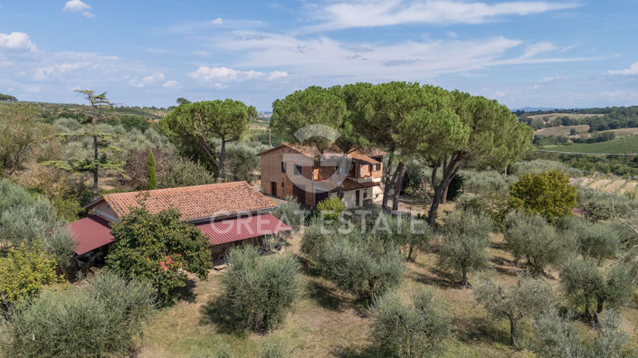 Image No.16-3 Bed Country House for sale