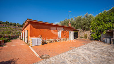 Photo_4