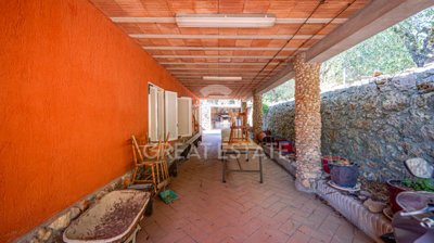 Photo_7