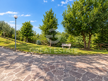 Photo_8