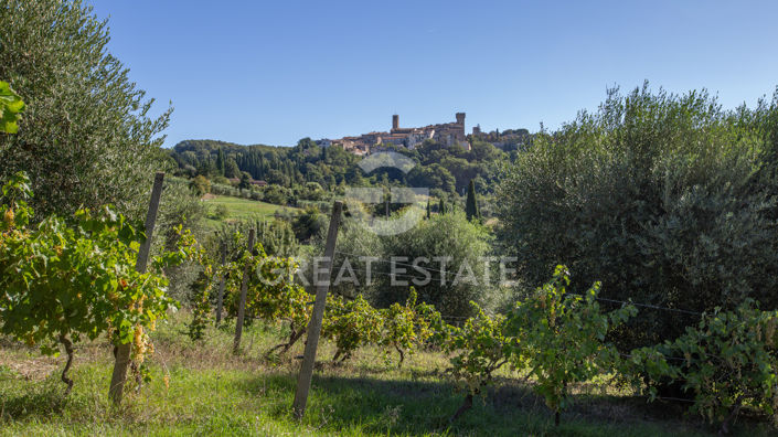 Image No.10-4 Bed Country House for sale