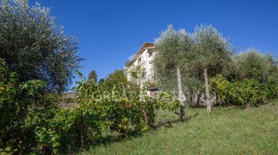 Photo_7