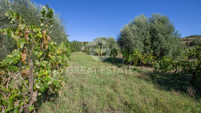 Image No.9-4 Bed Country House for sale