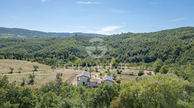 Photo_11