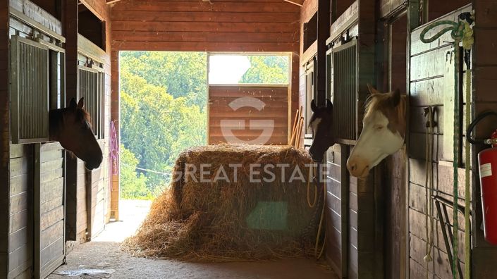 Image No.42-6 Bed Farmhouse for sale