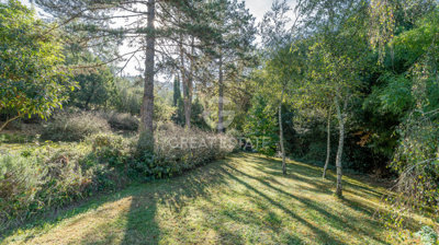 Photo_15