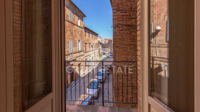 Photo_7