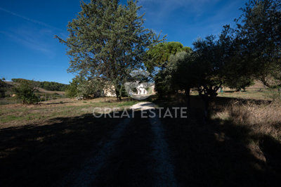 Photo_13
