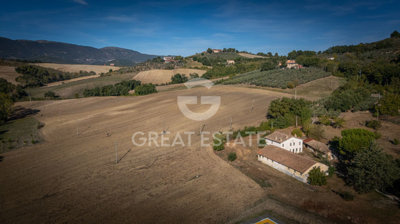 Photo_5