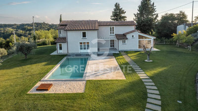 Photo_3