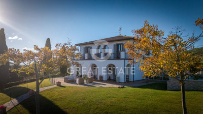Photo_3