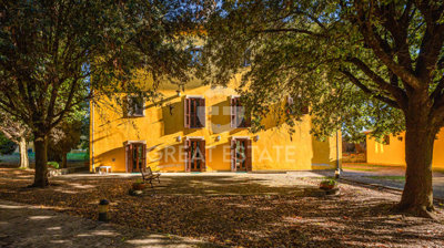 Photo_4