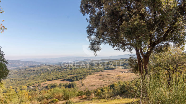 Image No.42-2 Bed Country House for sale