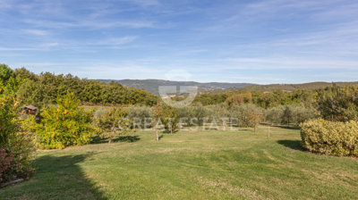 Photo_14