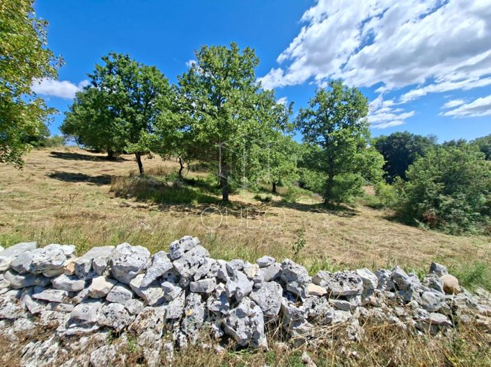 Image No.2-Terre à vendre à Bale