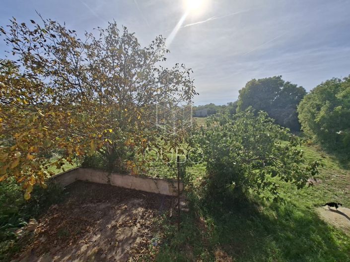 Image No.16-Maison de 3 chambres à vendre à Bale