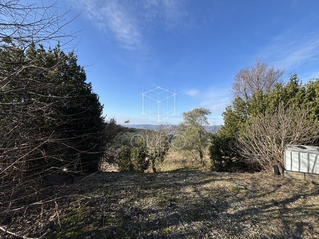 Image No.3-Maison de 3 chambres à vendre à Motovun