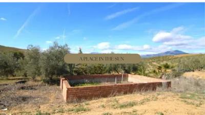 Anadir-un-subtitulo-copia