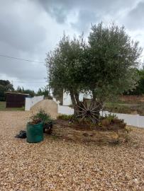 884ede6d-6749-4c81-9e23-7003dbb55e3f